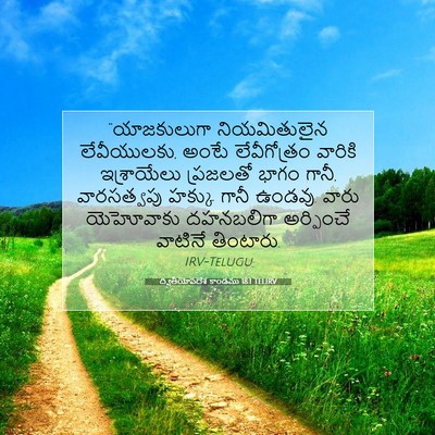 Picture 07 - ద్వితీయోపదేశ కాండము 18:1 TELIRV - “యాజకులుగా - Bible Verse Picture