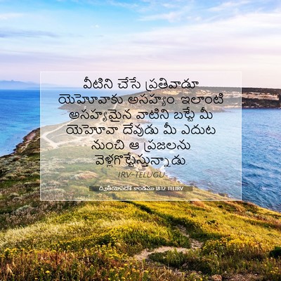 Picture 07 - ద్వితీయోపదేశ కాండము 18:12 TELIRV - వీటిని చేసే - Bible Verse Picture