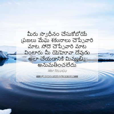 Picture 07 - ద్వితీయోపదేశ కాండము 18:14 TELIRV - మీరు స్వాధీనం - Bible Verse Picture