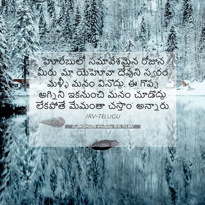 Picture 07 - ద్వితీయోపదేశ కాండము 18:16 TELIRV - హోరేబులో - Bible Verse Picture