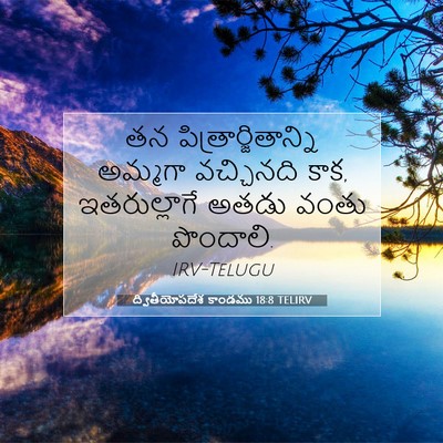 Picture 07 - ద్వితీయోపదేశ కాండము 18:8 TELIRV - తన - Bible Verse Picture