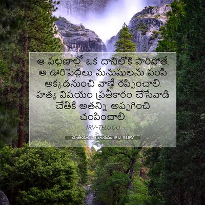 Picture 07 - ద్వితీయోపదేశ కాండము 19:12 TELIRV - ఆ పట్టణాల్లో ఒక - Bible Verse Picture