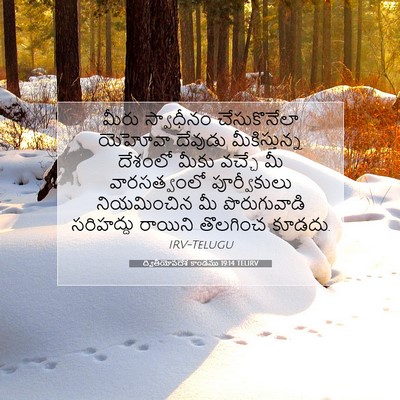 Picture 07 - ద్వితీయోపదేశ కాండము 19:14 TELIRV - మీరు స్వాధీనం - Bible Verse Picture