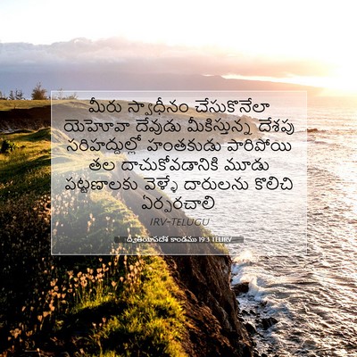 Picture 07 - ద్వితీయోపదేశ కాండము 19:3 TELIRV - మీరు స్వాధీనం - Bible Verse Picture