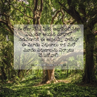 Picture 07 - ద్వితీయోపదేశ కాండము 19:9 TELIRV - ఈ రోజు నేను మీకు - Bible Verse Picture
