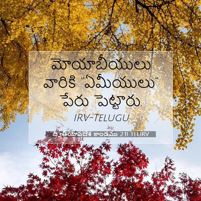 Picture 07 - ద్వితీయోపదేశ కాండము 2:11 TELIRV - మోయాబీయులు వారికి - Bible Verse Picture