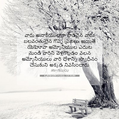 Picture 07 - ద్వితీయోపదేశ కాండము 2:21 TELIRV - వారు - Bible Verse Picture