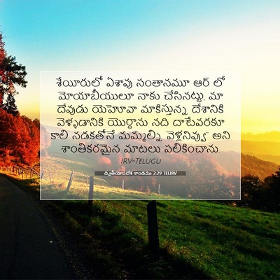 Picture 07 - ద్వితీయోపదేశ కాండము 2:29 TELIRV - శేయీరులో ఏశావు - Bible Verse Picture