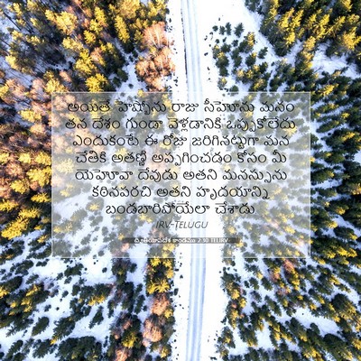 Picture 07 - ద్వితీయోపదేశ కాండము 2:30 TELIRV - అయితే హెష్బోను - Bible Verse Picture