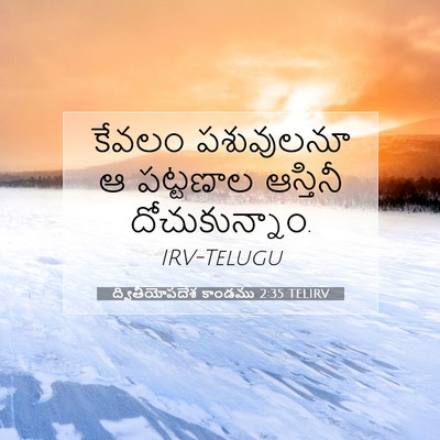 Picture 07 - ద్వితీయోపదేశ కాండము 2:35 TELIRV - కేవలం పశువులనూ ఆ - Bible Verse Picture