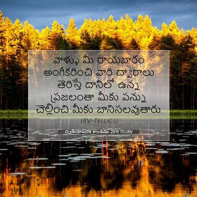 Picture 07 - ద్వితీయోపదేశ కాండము 20:11 TELIRV - వాళ్ళు మీ రాయబారం - Bible Verse Picture
