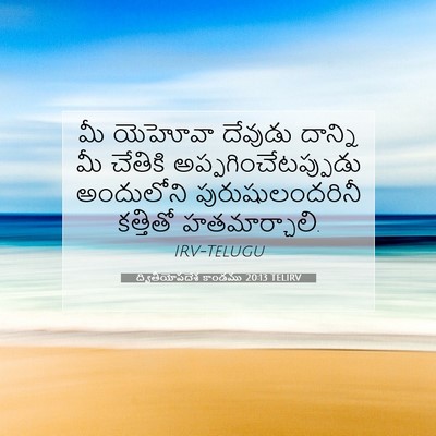 Picture 07 - ద్వితీయోపదేశ కాండము 20:13 TELIRV - మీ యెహోవా దేవుడు - Bible Verse Picture