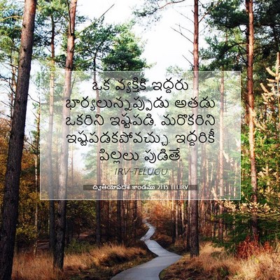 Picture 07 - ద్వితీయోపదేశ కాండము 21:15 TELIRV - ఒక వ్యక్తికి - Bible Verse Picture