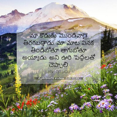 Picture 07 - ద్వితీయోపదేశ కాండము 21:20 TELIRV - మా కొడుకు - Bible Verse Picture