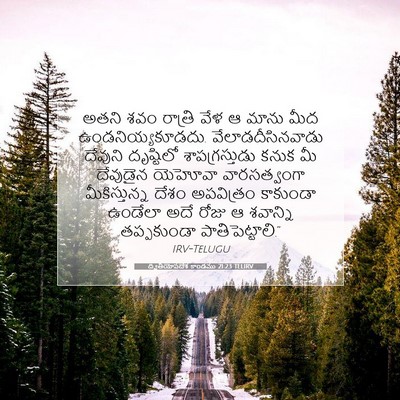 Picture 07 - ద్వితీయోపదేశ కాండము 21:23 TELIRV - అతని శవం రాత్రి - Bible Verse Picture