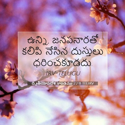 Picture 07 - ద్వితీయోపదేశ కాండము 22:11 TELIRV - ఉన్ని, జనపనారతో - Bible Verse Picture