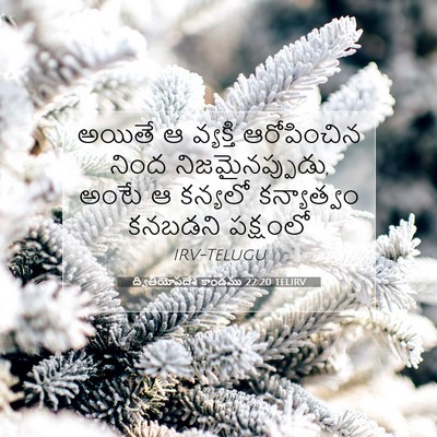 Picture 07 - ద్వితీయోపదేశ కాండము 22:20 TELIRV - అయితే ఆ వ్యక్తి - Bible Verse Picture