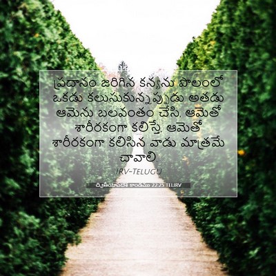 Picture 07 - ద్వితీయోపదేశ కాండము 22:25 TELIRV - ప్రదానం జరిగిన - Bible Verse Picture