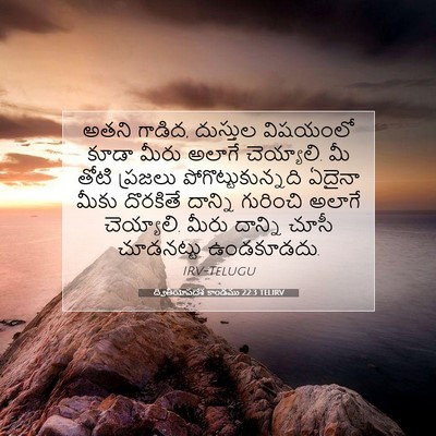 Picture 07 - ద్వితీయోపదేశ కాండము 22:3 TELIRV - అతని గాడిద, - Bible Verse Picture
