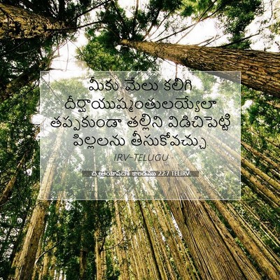 Picture 07 - ద్వితీయోపదేశ కాండము 22:7 TELIRV - మీకు మేలు కలిగి - Bible Verse Picture