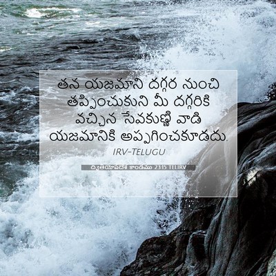 Picture 07 - ద్వితీయోపదేశ కాండము 23:15 TELIRV - తన యజమాని దగ్గర - Bible Verse Picture