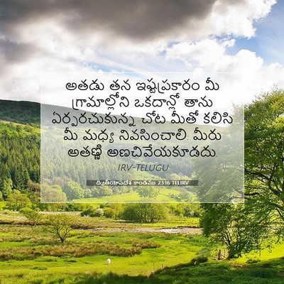 Picture 07 - ద్వితీయోపదేశ కాండము 23:16 TELIRV - అతడు తన - Bible Verse Picture