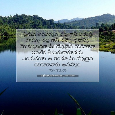 Picture 07 - ద్వితీయోపదేశ కాండము 23:18 TELIRV - పురుష సంపర్కం - Bible Verse Picture