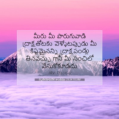 Picture 07 - ద్వితీయోపదేశ కాండము 23:24 TELIRV - మీరు మీ - Bible Verse Picture