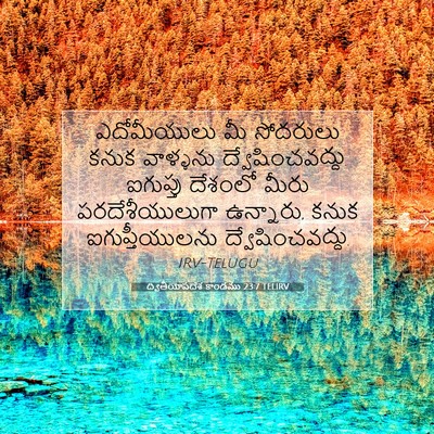 Picture 07 - ద్వితీయోపదేశ కాండము 23:7 TELIRV - ఎదోమీయులు మీ - Bible Verse Picture