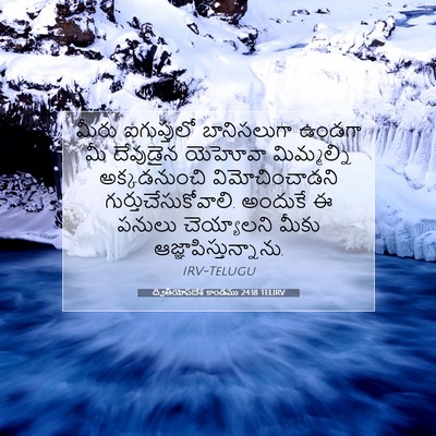 Picture 07 - ద్వితీయోపదేశ కాండము 24:18 TELIRV - మీరు ఐగుప్తులో - Bible Verse Picture