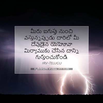 Picture 07 - ద్వితీయోపదేశ కాండము 24:9 TELIRV - మీరు ఐగుప్తు - Bible Verse Picture