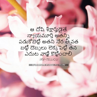Picture 07 - ద్వితీయోపదేశ కాండము 25:2 TELIRV - ఆ దోషి - Bible Verse Picture