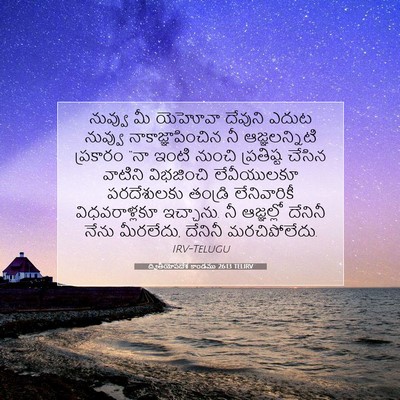 Picture 07 - ద్వితీయోపదేశ కాండము 26:13 TELIRV - నువ్వు మీ యెహోవా - Bible Verse Picture