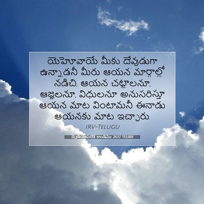 Picture 07 - ద్వితీయోపదేశ కాండము 26:17 TELIRV - యెహోవాయే మీకు - Bible Verse Picture