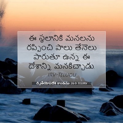 Picture 07 - ద్వితీయోపదేశ కాండము 26:9 TELIRV - ఈ స్థలానికి మనలను - Bible Verse Picture