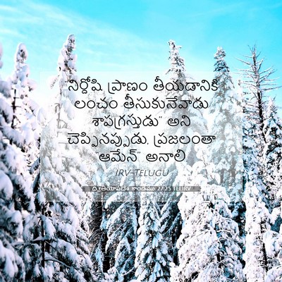 Picture 07 - ద్వితీయోపదేశ కాండము 27:25 TELIRV - “నిర్దోషి ప్రాణం - Bible Verse Picture