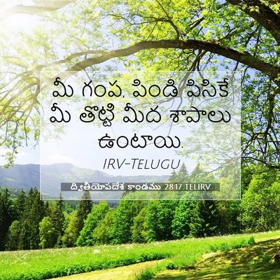 Picture 07 - ద్వితీయోపదేశ కాండము 28:17 TELIRV - మీ గంప, పిండి - Bible Verse Picture