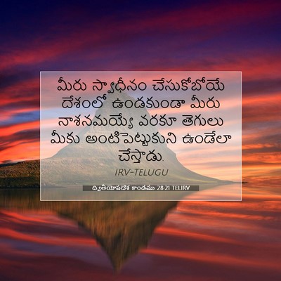 Picture 07 - ద్వితీయోపదేశ కాండము 28:21 TELIRV - మీరు స్వాధీనం - Bible Verse Picture
