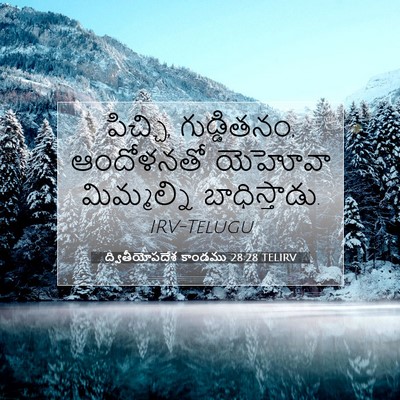 Picture 07 - ద్వితీయోపదేశ కాండము 28:28 TELIRV - పిచ్చి, గుడ్డితనం, - Bible Verse Picture