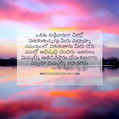 Picture 07 - ద్వితీయోపదేశ కాండము 28:29 TELIRV - ఒకడు గుడ్డివాడుగా - Bible Verse Picture