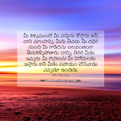 Picture 07 - ద్వితీయోపదేశ కాండము 28:31 TELIRV - మీ కళ్ళముందే మీ - Bible Verse Picture