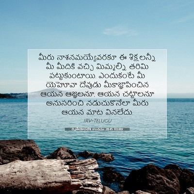 Picture 07 - ద్వితీయోపదేశ కాండము 28:45 TELIRV - మీరు - Bible Verse Picture