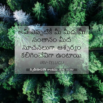 Picture 07 - ద్వితీయోపదేశ కాండము 28:46 TELIRV - అవి ఎప్పటికీ మీ - Bible Verse Picture