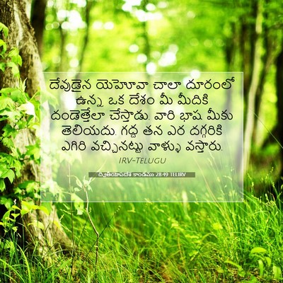 Picture 07 - ద్వితీయోపదేశ కాండము 28:49 TELIRV - దేవుడైన యెహోవా - Bible Verse Picture