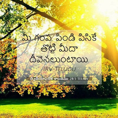 Picture 07 - ద్వితీయోపదేశ కాండము 28:5 TELIRV - మీ గంప, పిండి - Bible Verse Picture