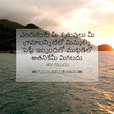 Picture 07 - ద్వితీయోపదేశ కాండము 28:55 TELIRV - ఎందుకంటే మీ - Bible Verse Picture