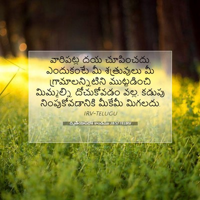 Picture 07 - ద్వితీయోపదేశ కాండము 28:57 TELIRV - వారిపట్ల దయ - Bible Verse Picture