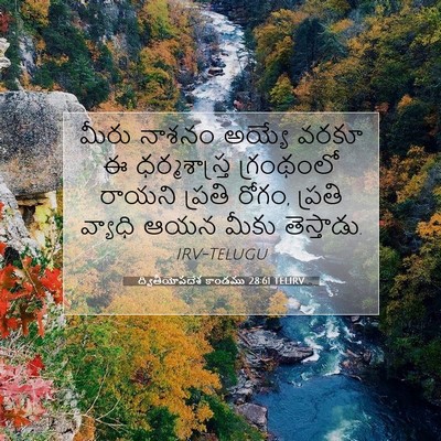 Picture 07 - ద్వితీయోపదేశ కాండము 28:61 TELIRV - మీరు నాశనం అయ్యే - Bible Verse Picture