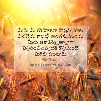 Picture 07 - ద్వితీయోపదేశ కాండము 28:62 TELIRV - మీరు మీ యెహోవా - Bible Verse Picture