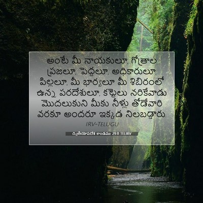 Picture 07 - ద్వితీయోపదేశ కాండము 29:11 TELIRV - అంటే మీ నాయకులూ, - Bible Verse Picture
